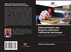 Capa do livro de Détermination des facteurs affectant l'efficacité technique 