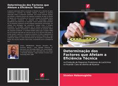 Bookcover of Determinação dos Factores que Afetam a Eficiência Técnica