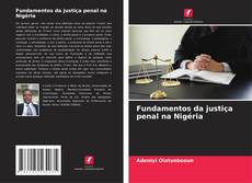 Borítókép a  Fundamentos da justiça penal na Nigéria - hoz