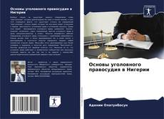 Capa do livro de Основы уголовного правосудия в Нигерии 