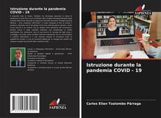 Borítókép a  Istruzione durante la pandemia COVID - 19 - hoz