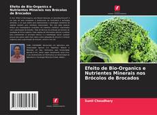 Capa do livro de Efeito de Bio-Organics e Nutrientes Minerais nos Brócolos de Brocados 