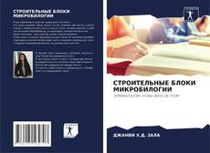 Borítókép a  СТРОИТЕЛЬНЫЕ БЛОКИ МИКРОБИЛОГИИ - hoz