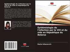 Bookcover of Épidémiologie de l'infection par le VIH et du sida en République du Belarus