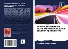 Buchcover von Анализ детерминант роста занятости малых и средних предприятий