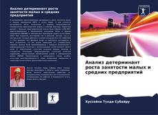 Capa do livro de Анализ детерминант роста занятости малых и средних предприятий 