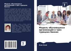 Buchcover von Модель обучающихся организаций в трех турецких банках