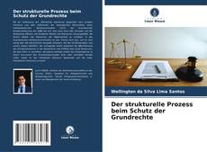 Bookcover of Der strukturelle Prozess beim Schutz der Grundrechte