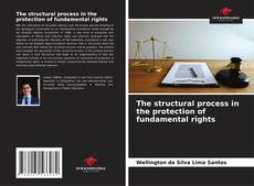 Copertina di The structural process in the protection of fundamental rights