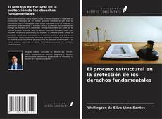 Обложка El proceso estructural en la protección de los derechos fundamentales