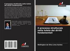 Bookcover of Il processo strutturale nella tutela dei diritti fondamentali