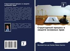 Buchcover von Структурный процесс в защите основных прав