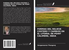 Buchcover von FORMAS DEL RELIEVE COSTERO Y CAMBIOS EN EL LITORAL DE POINT CALIMERE, INDIA