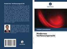 Modernes Verfassungsrecht kitap kapağı