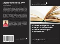 Copertina di Estudio fitoquímico de una planta medicinal camerunesa: Piper umbellatum
