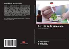 Buchcover von Dérivés de la quinolone