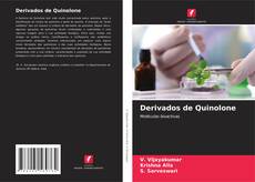 Derivados de Quinolone kitap kapağı