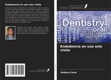 Capa do livro de Endodoncia en una sola visita 