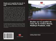 Portada del libro de Études sur la qualité de l'eau de la rivière Newaj, Madhya Pradesh, Inde