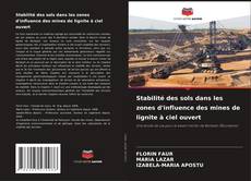 Bookcover of Stabilité des sols dans les zones d'influence des mines de lignite à ciel ouvert