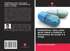 Portada del libro de Antibióticos: Uma visão geral sobre a história, o mecanismo de acção e a droga