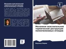 Bookcover of Механизм окислительной термической деструкции полиэтиленовых отходов