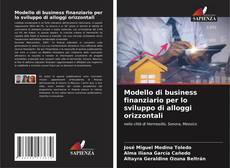 Buchcover von Modello di business finanziario per lo sviluppo di alloggi orizzontali