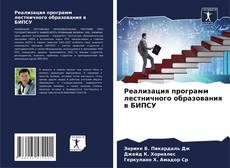 Buchcover von Реализация программ лестничного образования в БИПСУ