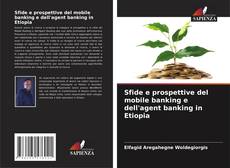Bookcover of Sfide e prospettive del mobile banking e dell'agent banking in Etiopia