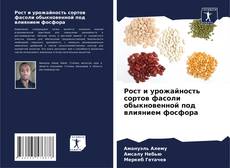Borítókép a  Рост и урожайность сортов фасоли обыкновенной под влиянием фосфора - hoz