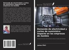 Copertina di Demanda de electricidad y cortes de suministro: Impacto en las empresas de Zambia
