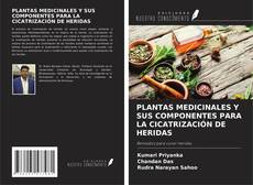 Buchcover von PLANTAS MEDICINALES Y SUS COMPONENTES PARA LA CICATRIZACIÓN DE HERIDAS