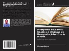 Bookcover of Divergencia de plantas leñosas en el bosque de Managesha Suba, Etiopía central