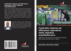 Buchcover von Controllo interno ed efficienza operativa nelle imprese manifatturiere
