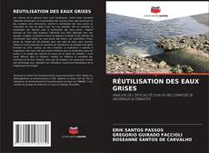 RÉUTILISATION DES EAUX GRISES kitap kapağı