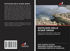 Buchcover von RIUTILIZZO DELLE ACQUE GRIGIE