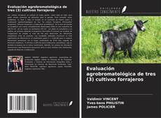 Buchcover von Evaluación agrobromatológica de tres (3) cultivos forrajeros