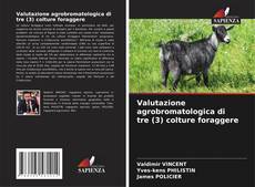 Bookcover of Valutazione agrobromatologica di tre (3) colture foraggere