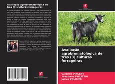 Обложка Avaliação agrobromatológica de três (3) culturas forrageiras
