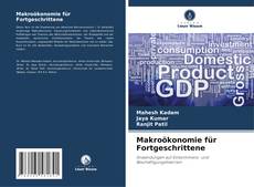 Capa do livro de Makroökonomie für Fortgeschrittene 