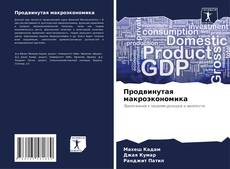 Capa do livro de Продвинутая макроэкономика 