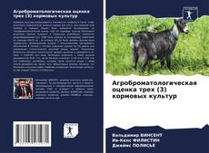 Capa do livro de Агроброматологическая оценка трех (3) кормовых культур 