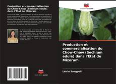 Copertina di Production et commercialisation du Chow-Chow (Sechium edule) dans l'État de Mizoram
