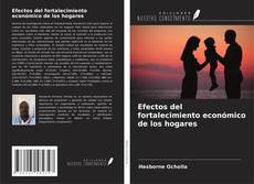 Couverture de Efectos del fortalecimiento económico de los hogares