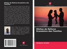 Portada del libro de Efeitos do Reforço Económico das Famílias