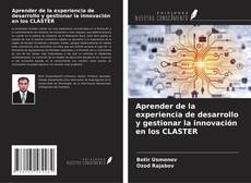 Portada del libro de Aprender de la experiencia de desarrollo y gestionar la innovación en los CLASTER