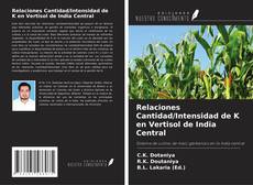 Relaciones Cantidad/Intensidad de K en Vertisol de India Central的封面