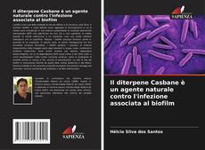 Portada del libro de Il diterpene Casbane è un agente naturale contro l'infezione associata al biofilm
