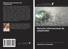 Bookcover of Derecho internacional de catástrofes