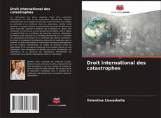 Borítókép a  Droit international des catastrophes - hoz
